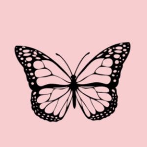 Meet your Posher, Pyper